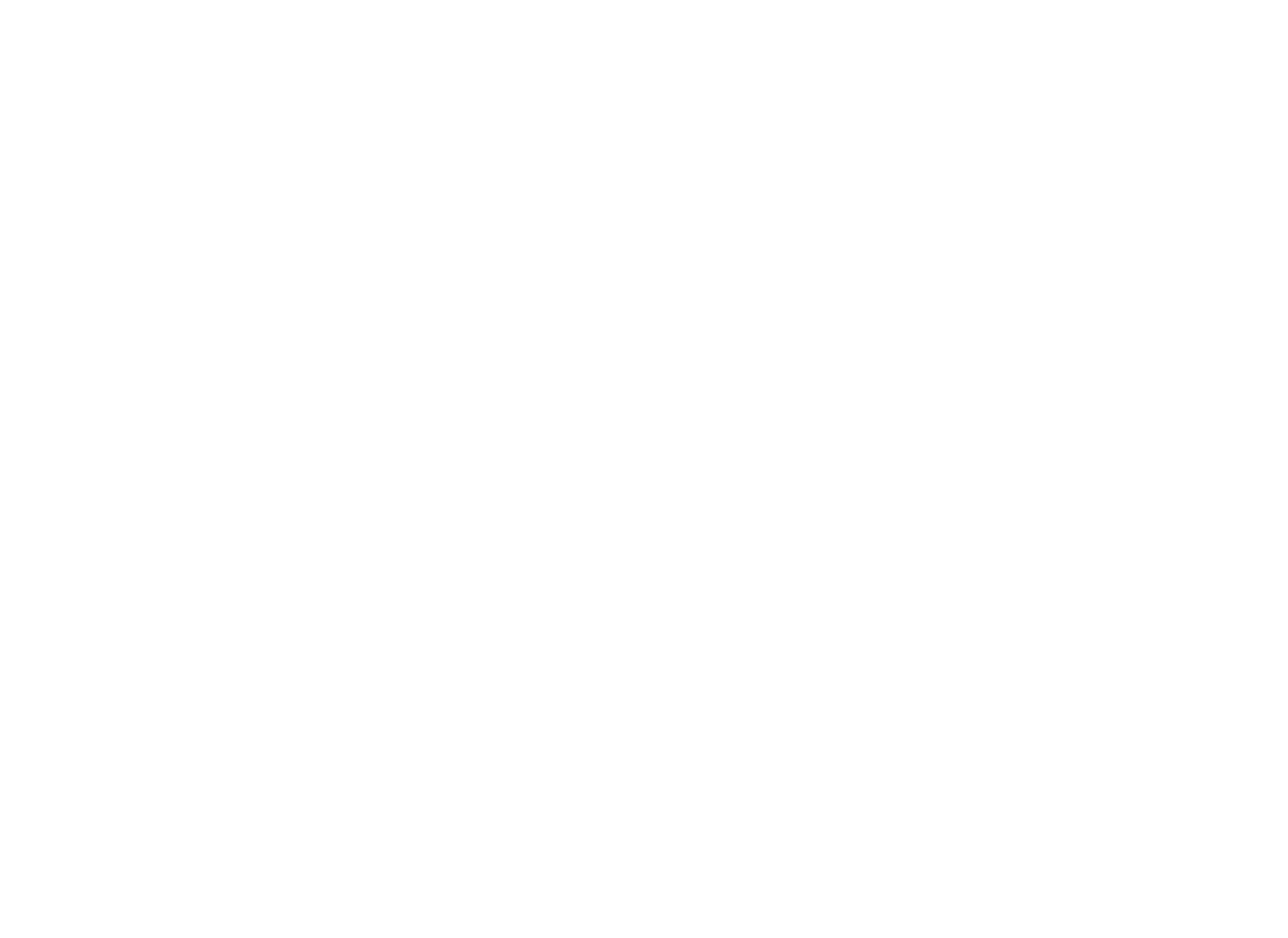 NiteOwl Logo White