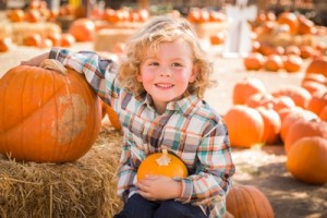fall activities in Chattanooga