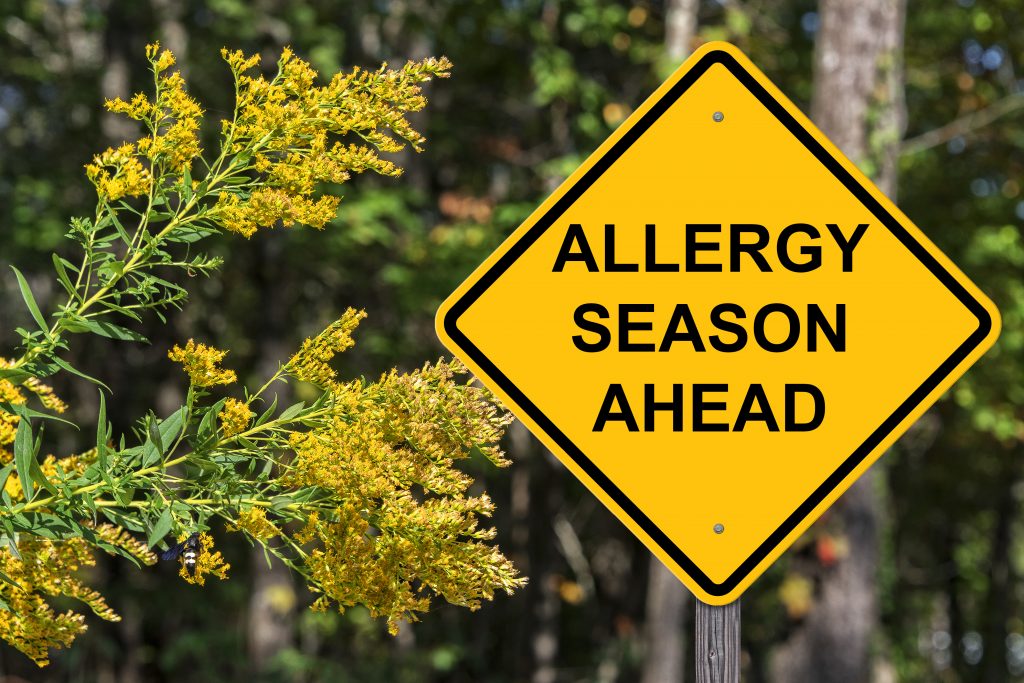 Fall allergy season is here, and Chattanooga kids have ragweed and a slew of symptoms to contend with.
